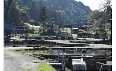 須川フィッシングパーク釣り券