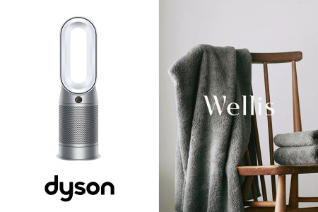 【Wellis×dyson】Wellis Dyson Purifier Hot+Cool™空気清浄ファンヒーター