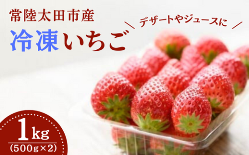 桧山FRUITFARM 冷凍いちご １kg（500g×２袋）