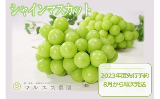 【2023年8月】ふるさとチョイスのおすすめ＆人気の返礼品！還元率ランキングTOP10！