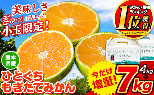 【2023年8月】ふるさとチョイスのおすすめ＆人気の返礼品！還元率ランキングTOP10！