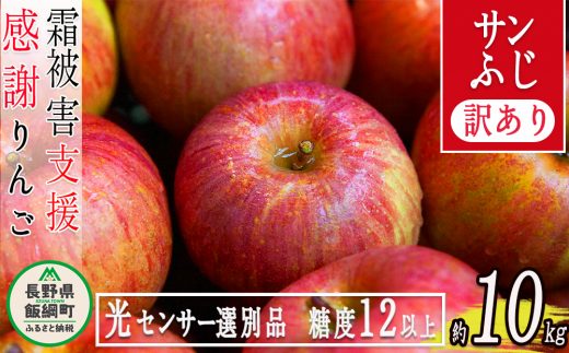 【2023年8月】ふるさとチョイスのおすすめ＆人気の返礼品！還元率ランキングTOP10！