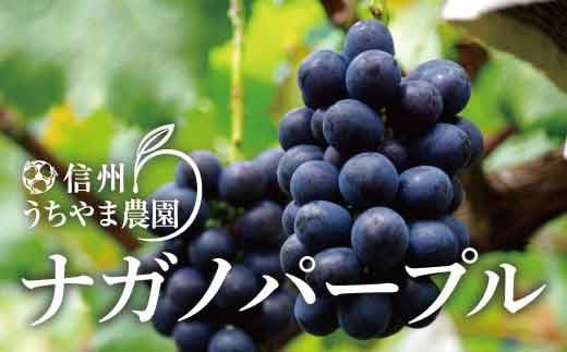 【2023年9月】ふるさとチョイスの人気急上昇でおすすめの返礼品ランキングTOP10！還元率も紹介