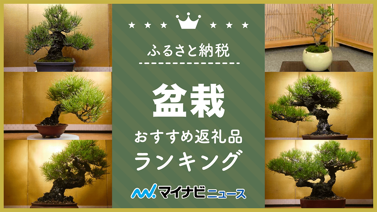 【2023年最新】盆栽のふるさと納税おすすめランキング！