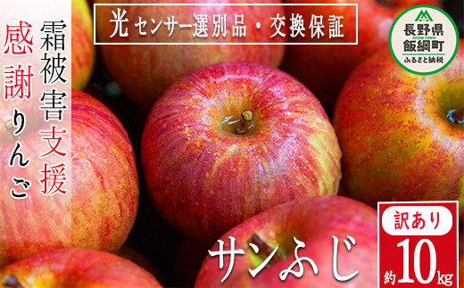 ふるさとチョイスの限定お礼の品おすすめランキングTOP10！希少品から一点モノまで紹介